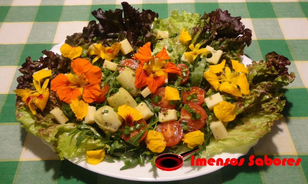 Salada de folhas com tomates, queijo e flores comestíveis